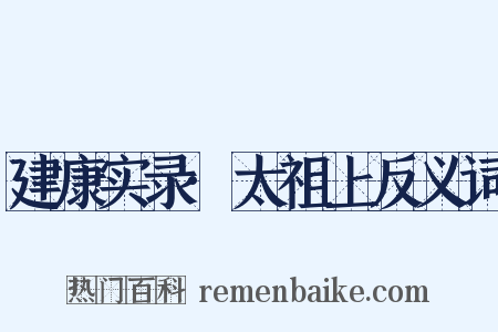 建康实录·太祖上反义词是什么意思的图片